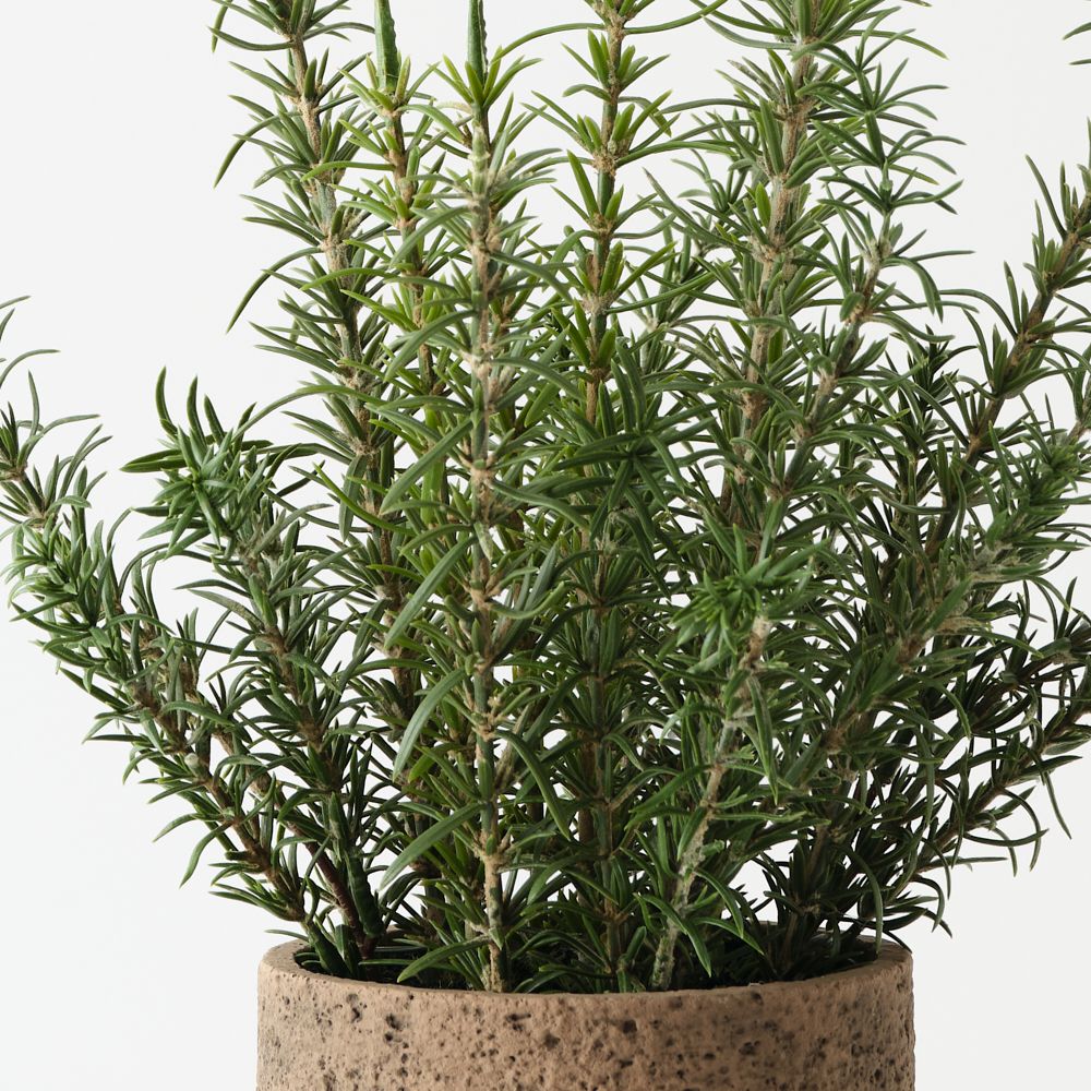 Artificial rosemary plant 45cm in clay pot – view 2