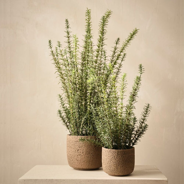 Artificial rosemary plant 45cm in clay pot – view 3