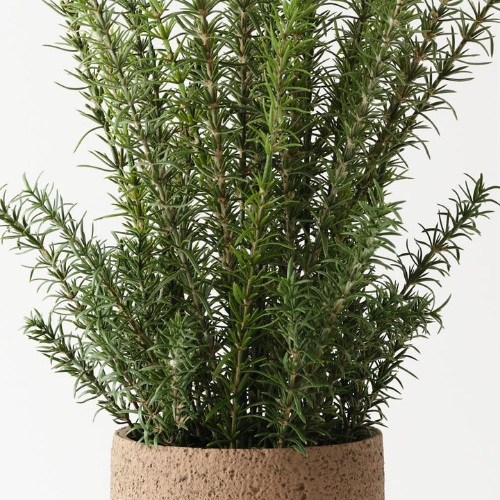 Artificial rosemary plant 78cm in clay pot – view 2