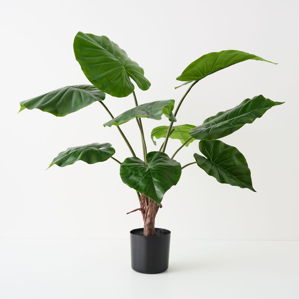Artificial alocasia plant 71cm