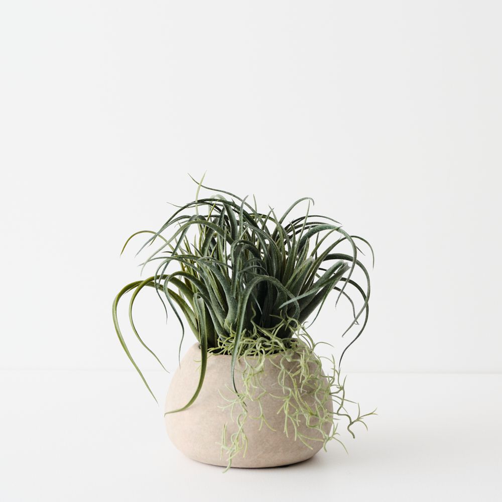 Artificial tillandsia plant 22cm in clay pot