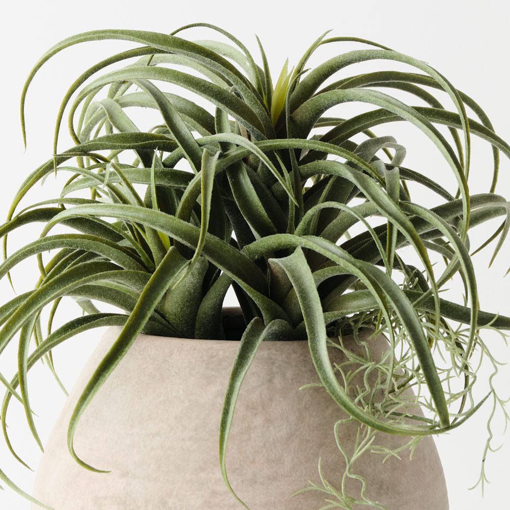 Artificial tillandsia plant 22cm in clay pot – view 2