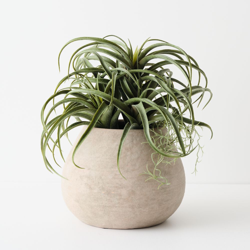 Artificial tillandsia plant 33cm in clay pot