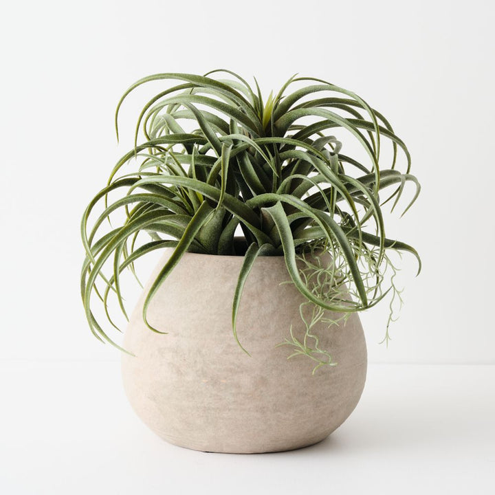 Artificial tillandsia plant 33cm in clay pot