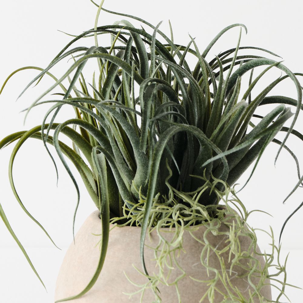 Artificial tillandsia plant 33cm in clay pot – view 2