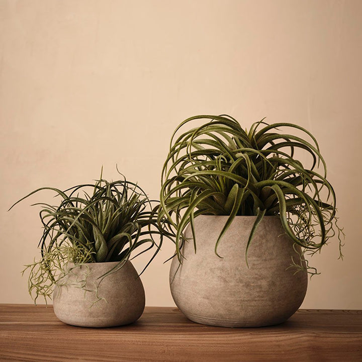 Artificial tillandsia plant 33cm in clay pot – view 3
