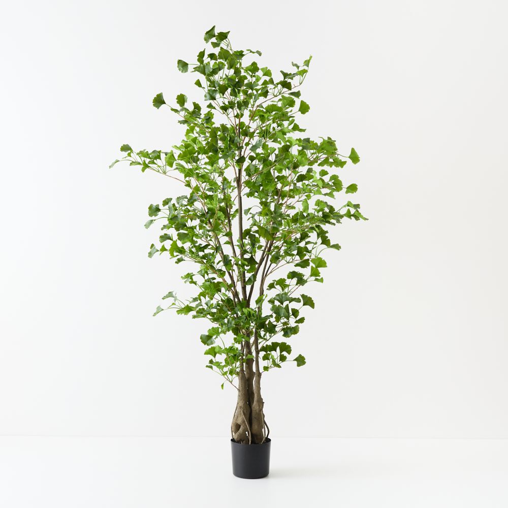 Artificial ginkgo tree 183cm with gnarled branches