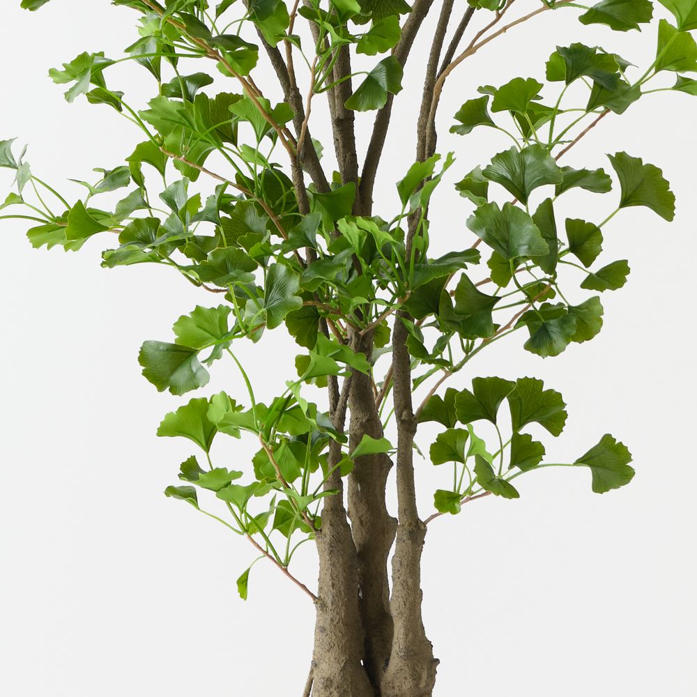 Artificial ginkgo tree 183cm with gnarled branches – view 2