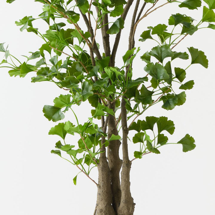Artificial ginkgo tree 183cm with gnarled branches – view 2