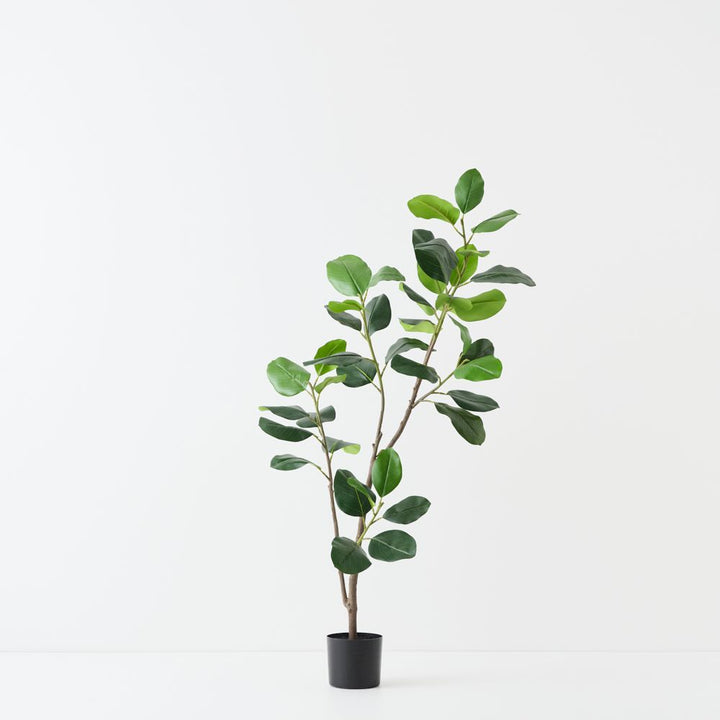 Artificial rubber tree 150cm, branching