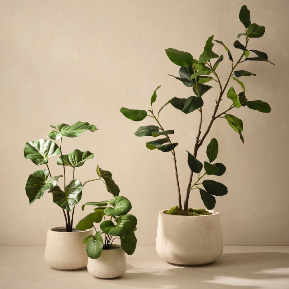 Artificial rubber tree 150cm, branching – view 3