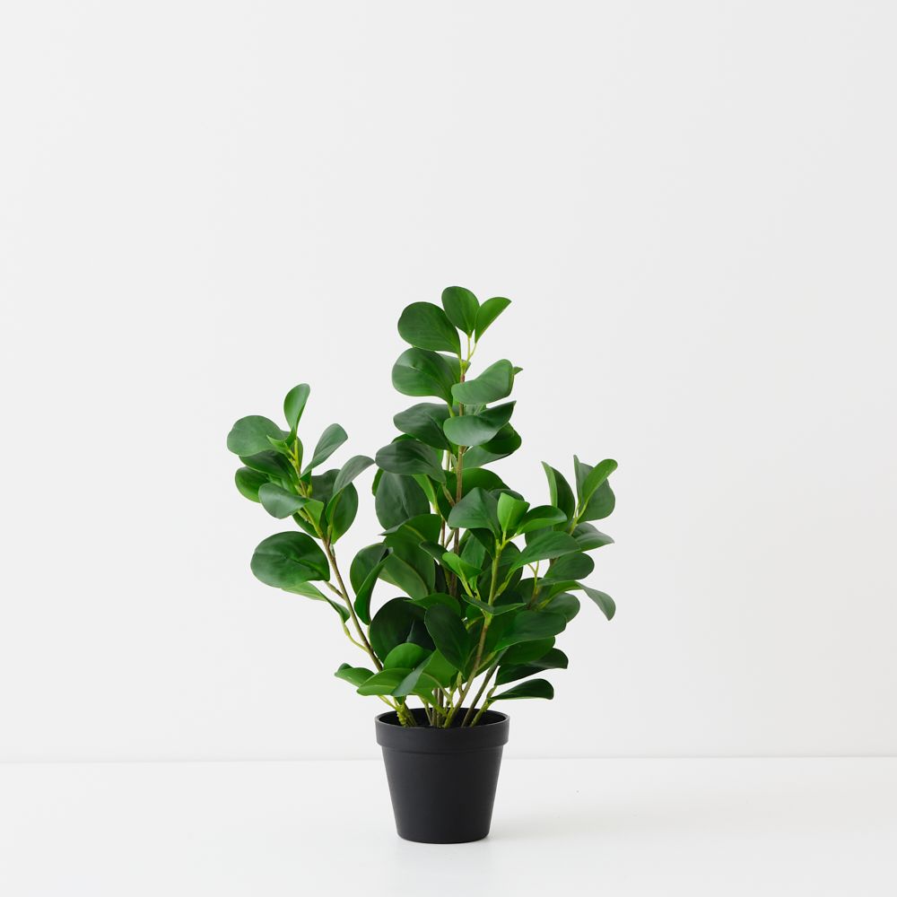 Artificial peperomia plant 42cm