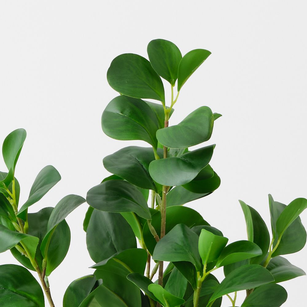 Artificial peperomia plant 42cm – view 2