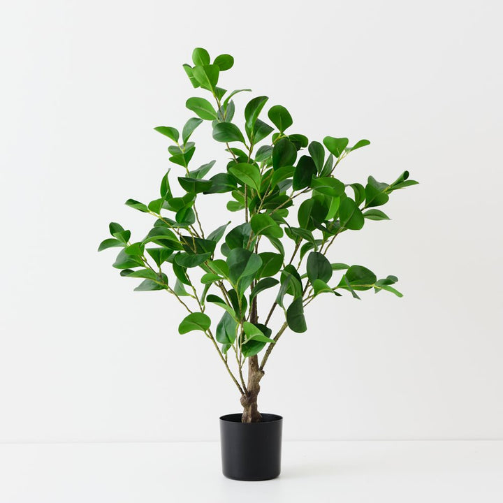 Artificial peperomia tree 80cm