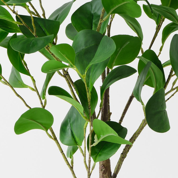 Artificial peperomia tree 80cm – view 2
