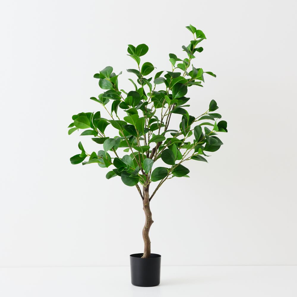 Artificial peperomia tree 110cm