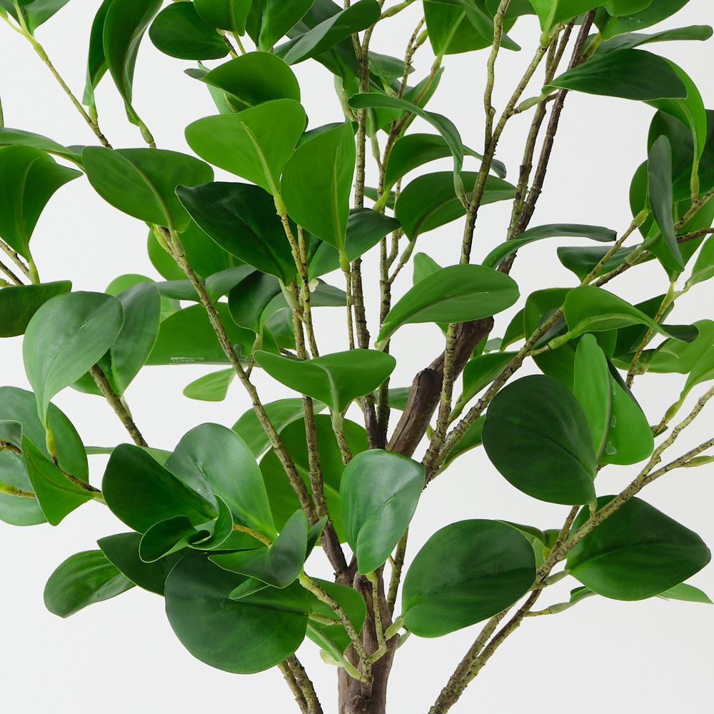 Artificial peperomia tree 110cm – view 2