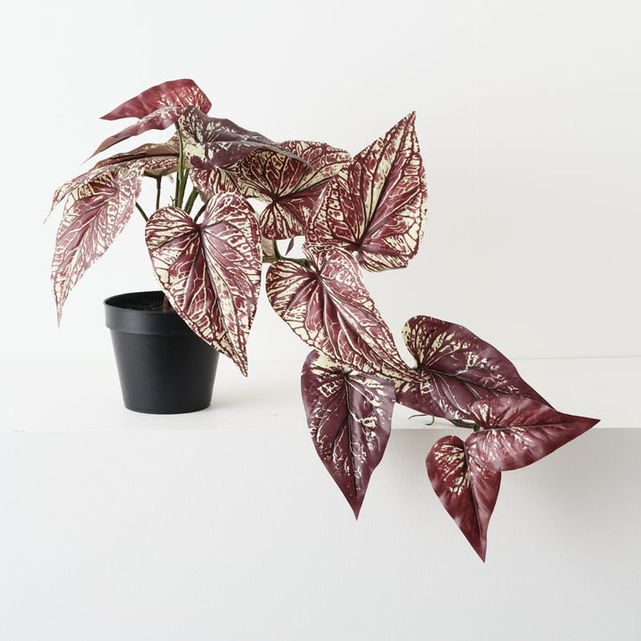 Artificial burgundy caladium plant 40cm