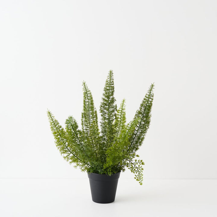 Artificial foxtail fern plant 50cm