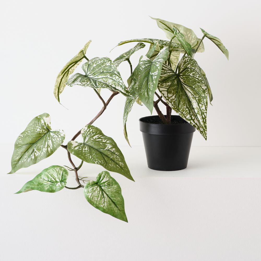 Artificial green caladium plant 40cm