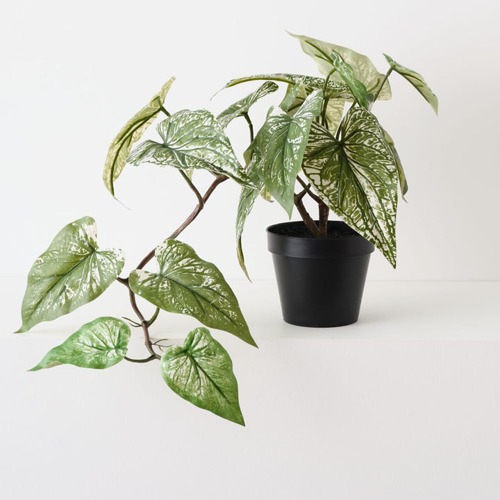 Artificial green caladium plant 40cm
