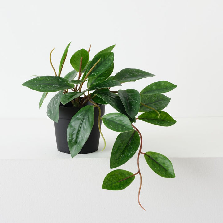 Artificial hoya carnosa plant 20cm