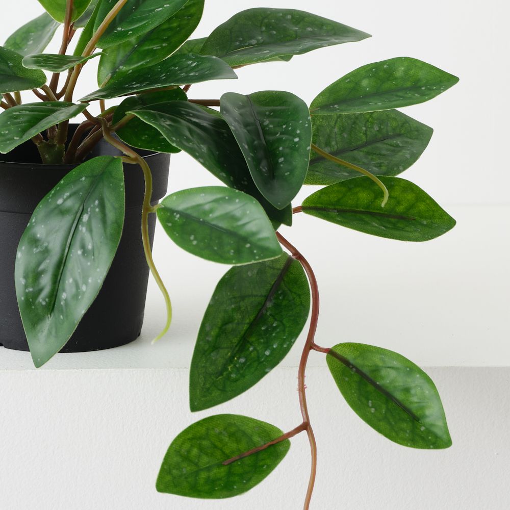 Artificial hoya carnosa plant 20cm – view 2