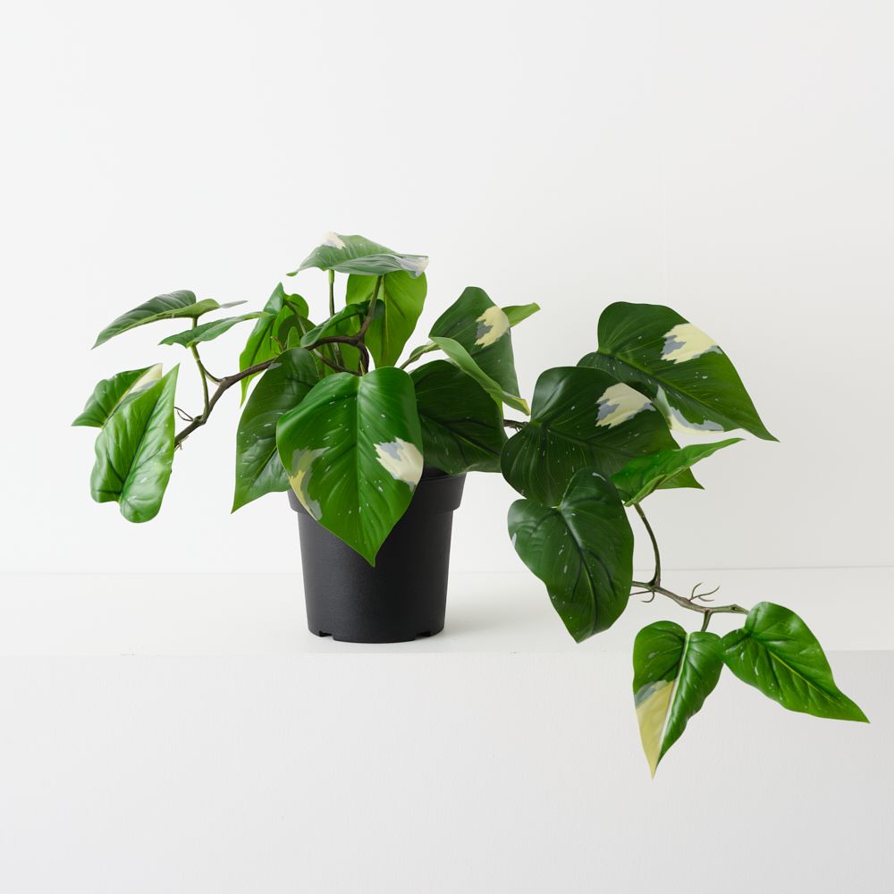 Artificial green and white pothos vine plant 44cm