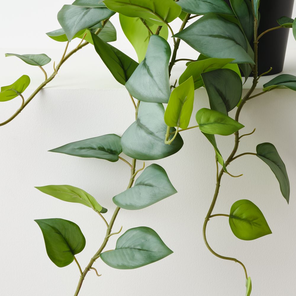 Artificial trailing hoya plant 70cm – view 2