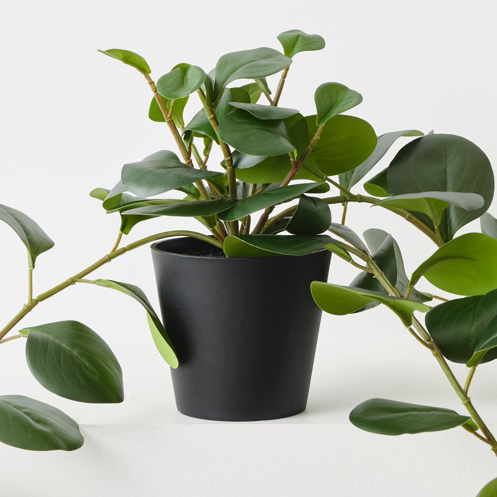 Artificial trailing peperomia plant 70cm – view 2