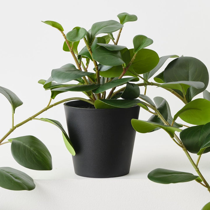 Artificial trailing peperomia plant 70cm – view 2
