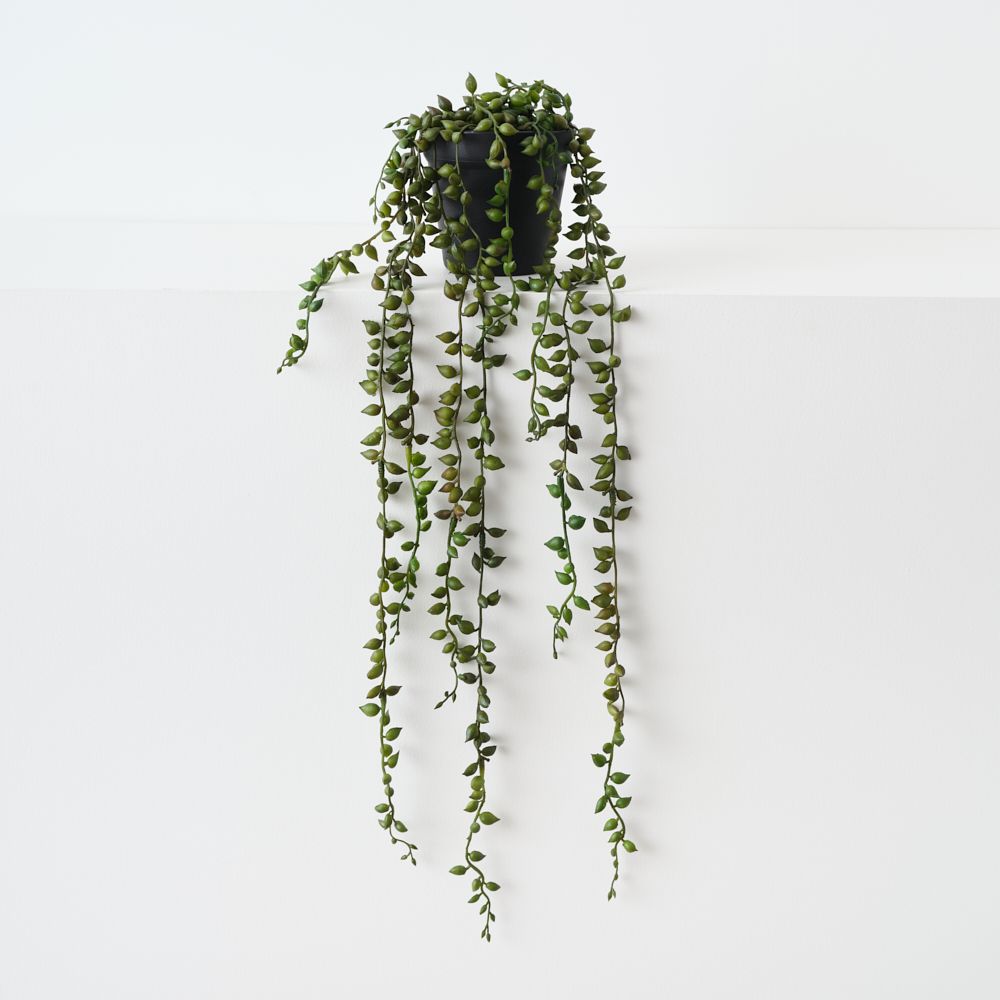 Artificial string of pearls trailing plant 59cm