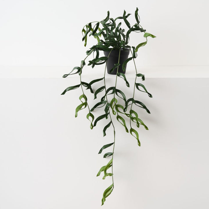 Artificial dragon fern trailing plant 66cm