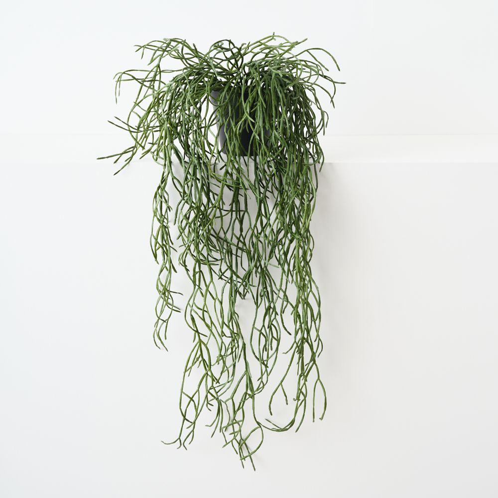 Artificial rhipsalis trailing plant 71cm