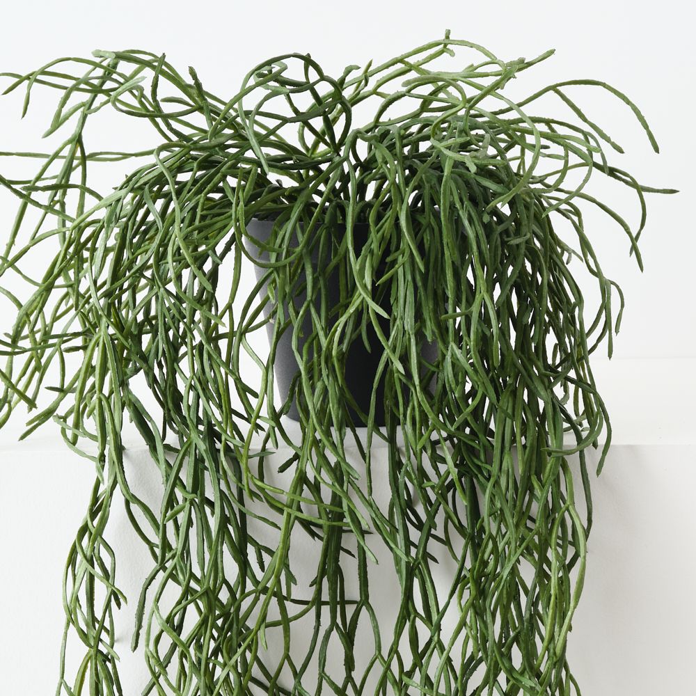 Artificial rhipsalis trailing plant 71cm – view 2