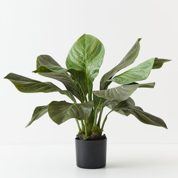 Artificial anthurium jungle plant 81cm
