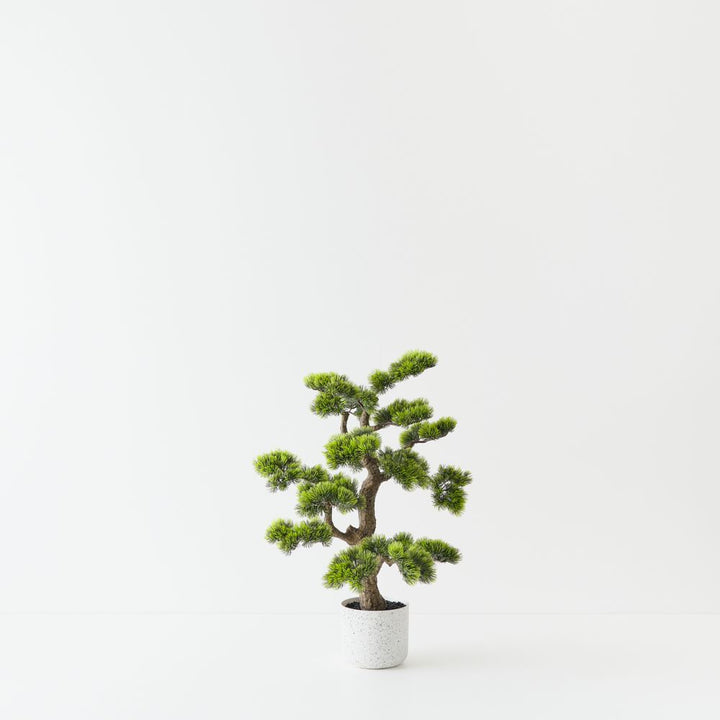 Artificial Japanese pine bonsai 66cm in ceramic pot