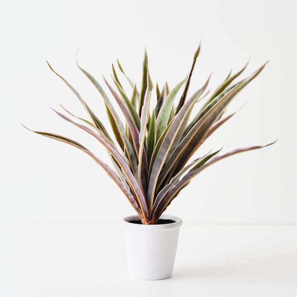 Small artificial dracaena plant, green and pink