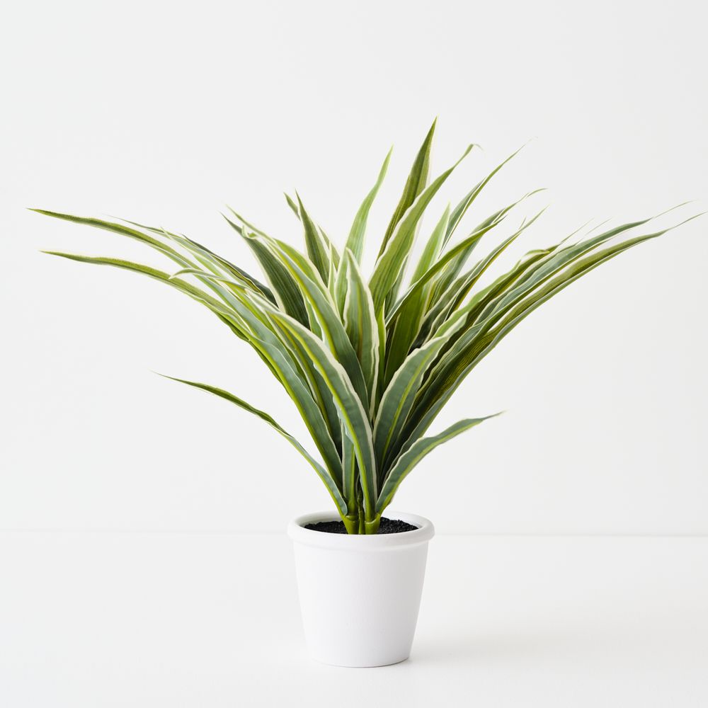 Small artificial dracaena plant, green and white
