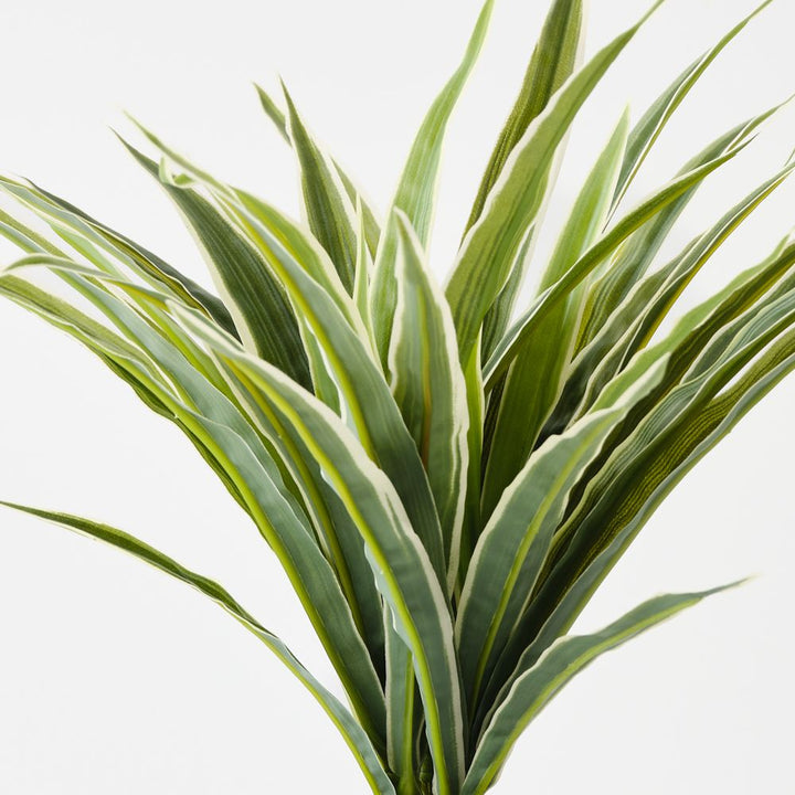 Small artificial dracaena plant, green and white – view 2