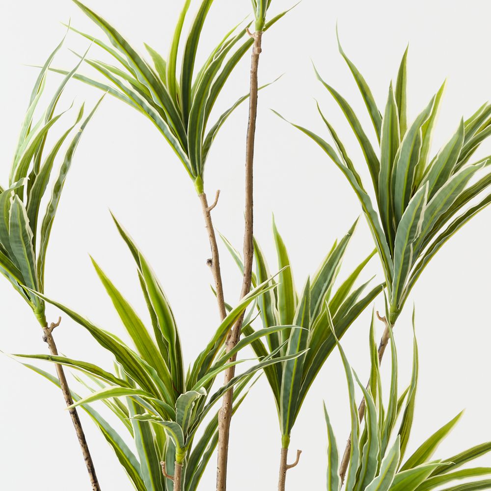 Artificial dracaena plant 143cm, green and white – view 2