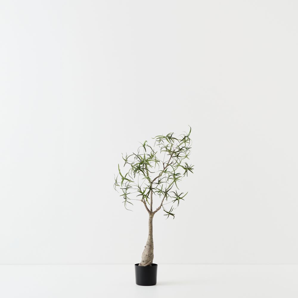 Artificial bottle tree 90cm