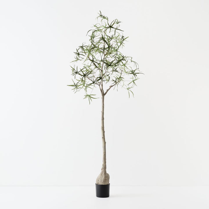 Artificial bottle tree 165cm
