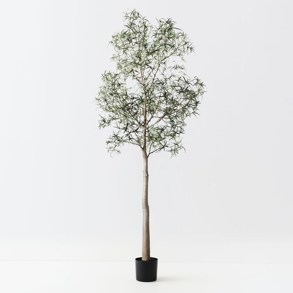 Artificial bottle tree 360cm