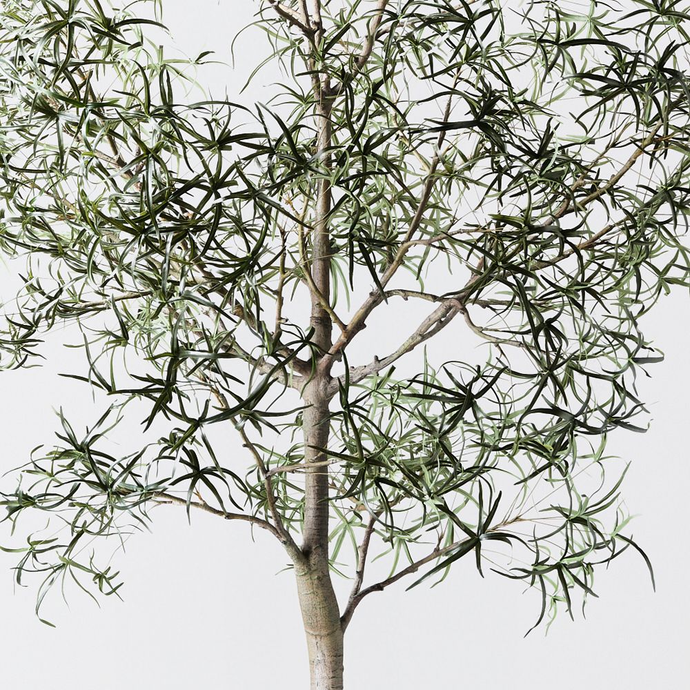 Artificial bottle tree 360cm – view 2