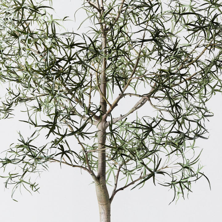 Artificial bottle tree 360cm – view 2