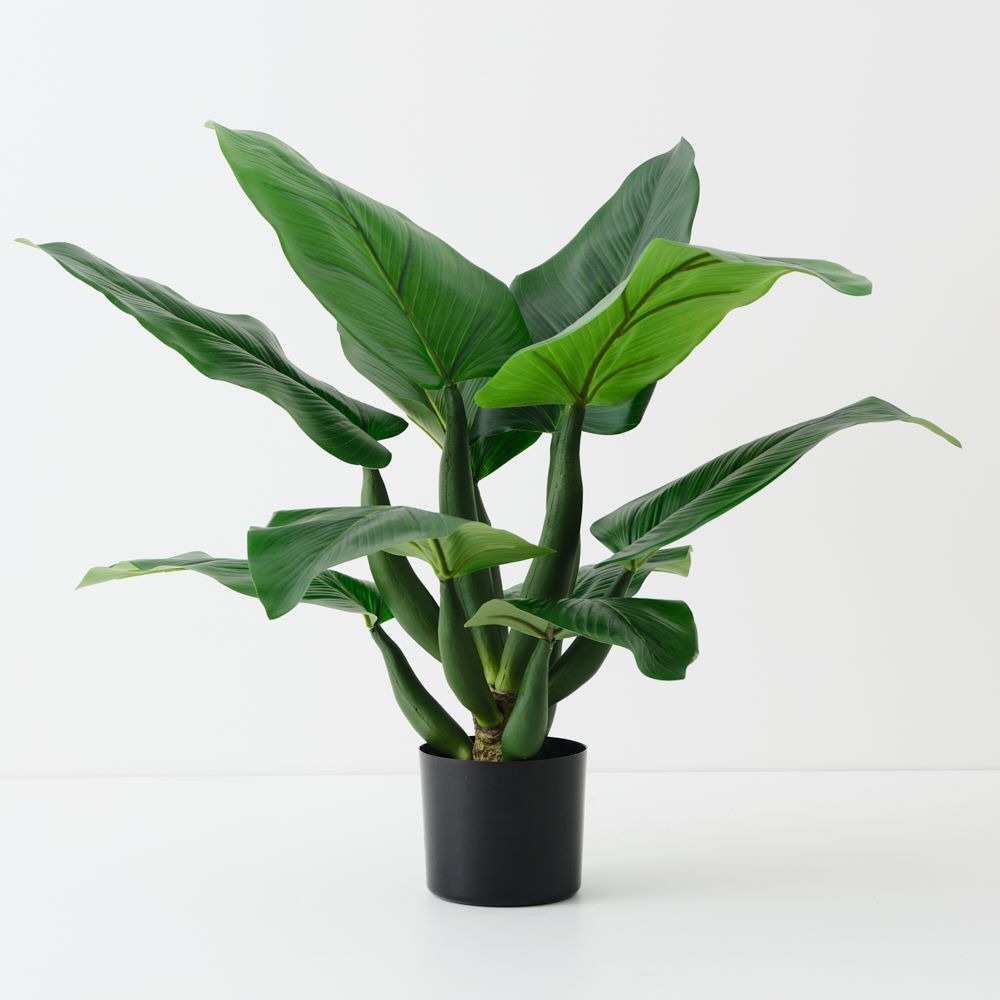 Artificial curcuma plant 85cm