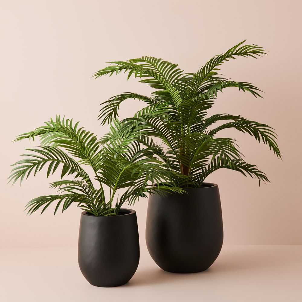 Artificial kentia palm 152cm – view 2