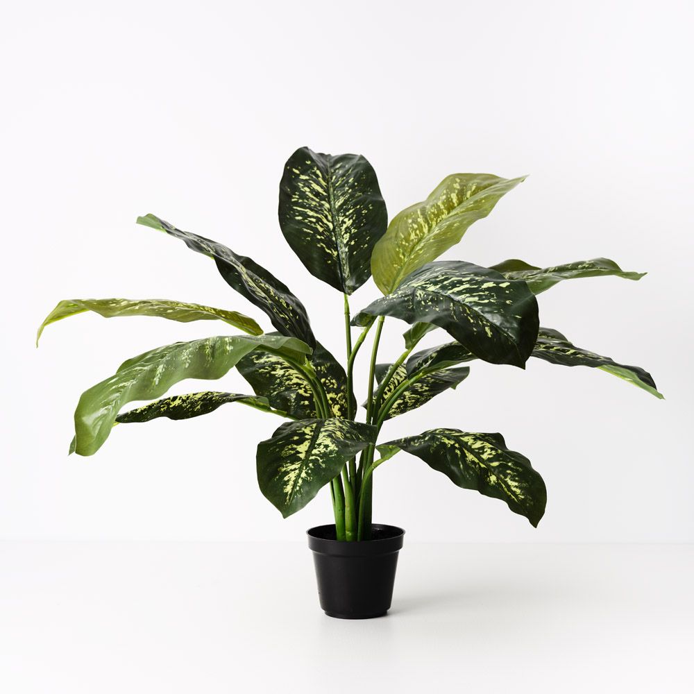 Artificial dieffenbachia plant 63cm, green and cream