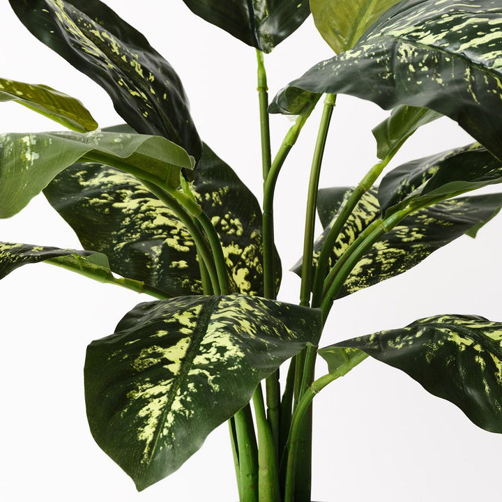 Artificial dieffenbachia plant 63cm, green and cream – view 2